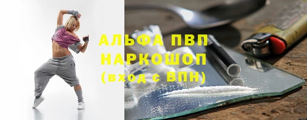 дживик Касимов