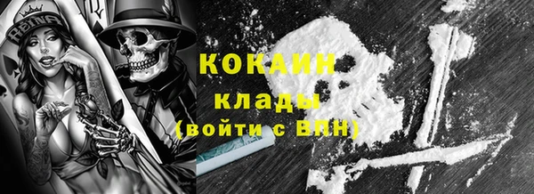 дживик Касимов