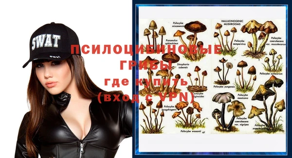 дживик Касимов