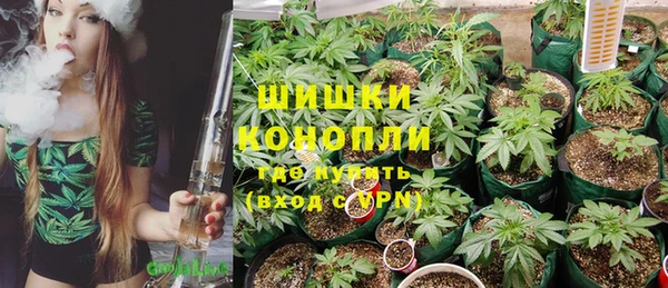 дживик Касимов
