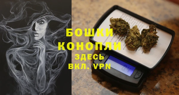 дживик Касимов